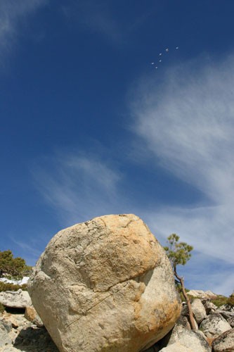 Six birds pass over The Strongman Boulder at Flagpole Peak Boulders. 
