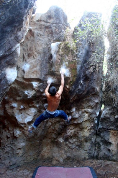 Anthony on Gold Wall Direct V7