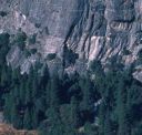 Church Bowl - Church Bowl Tree 5.10b - Yosemite Valley, California USA. Click for details.