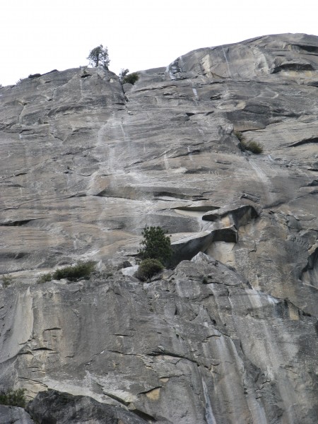 The pine tree is where Dinner Ledge is.