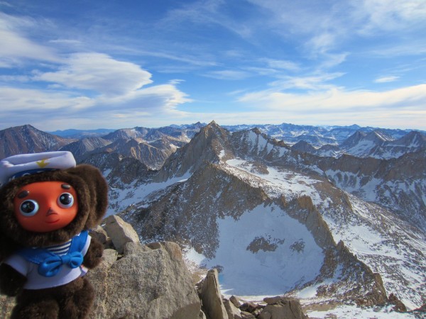 Cheburashka on top of Dade on New Year's Eve &#40;12/31/2011&#41;! He ...