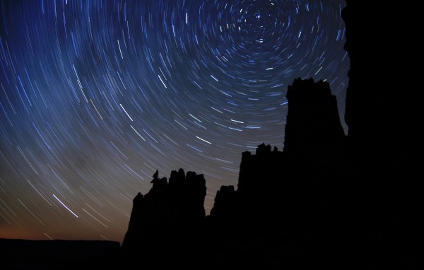 Ancient Art and King Fisher under the desert night sky.