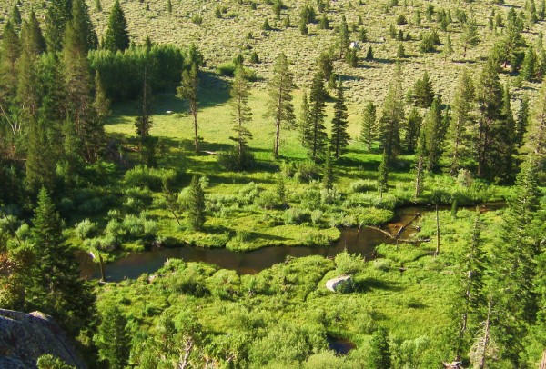 Meadow on the approach