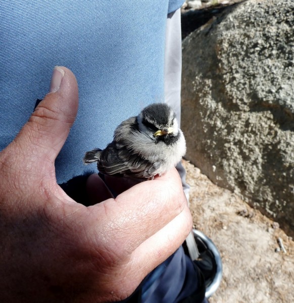 Found this little guy on the trail on the way in.