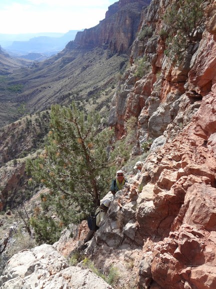 In the Redwall after the first climbing section before the traversing ...