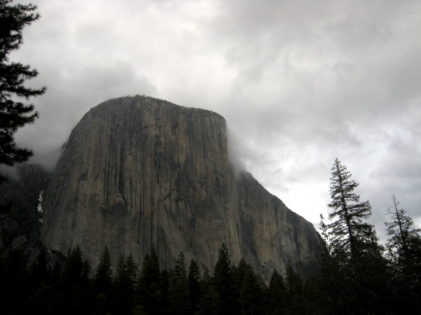 Nose Looking Grim Upon Arrival in the Valley