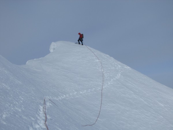 On the Moose's Tooth corniced main summit &#40;pic courtesy of Steve T...