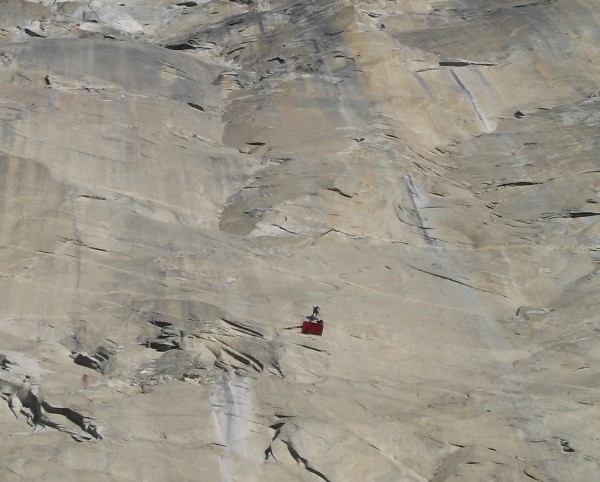 Soloist on Reticent Wall