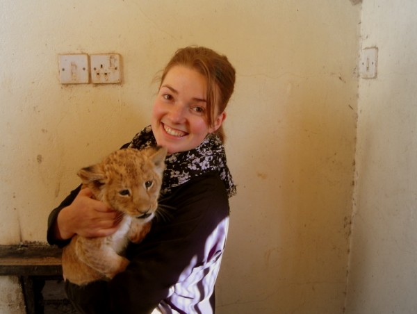 aaaand I get to play with lion cubs that are still teething, so you ca...
