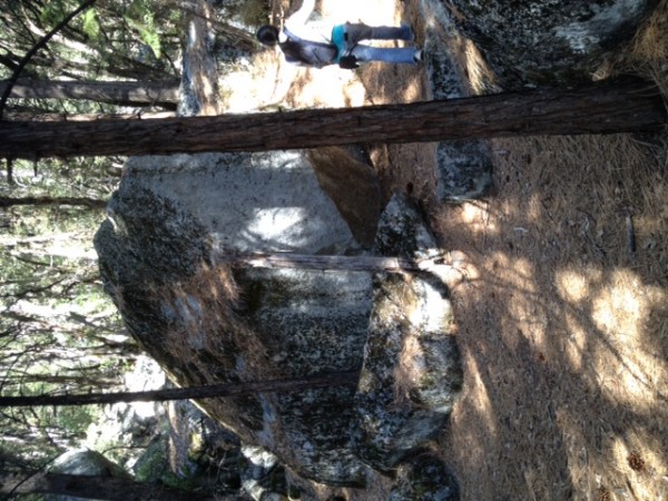 log leaning against boulder &#40;kinda hard to see&#41;