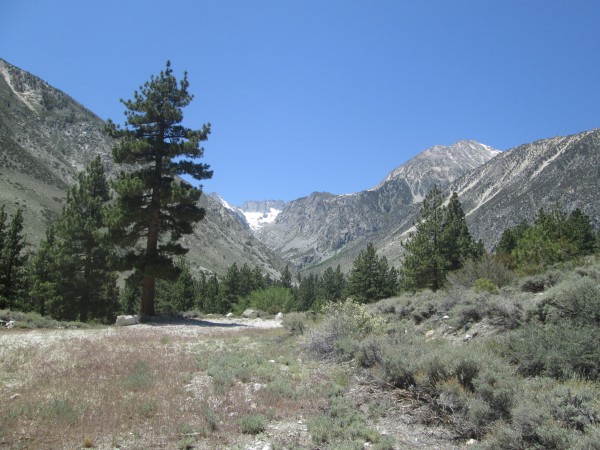 North Fork of the Big Pine Trail