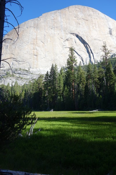 Lost Lake &#40;more of a swamp&#41; the and the back side of Half Dome