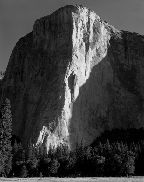 El Capitan Meadow