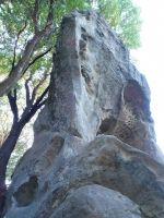 Castle Rock - Donkey Dong 5.11d - Bay Area, California USA. Click to Enlarge