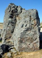 Goat Rock - Ram Face 5.8 - Bay Area, California USA. Click to Enlarge