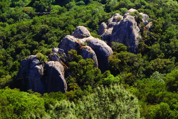 Boy Scout Rocks - Amazing Face