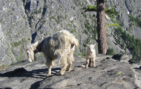 The welcoming committee on top of the route