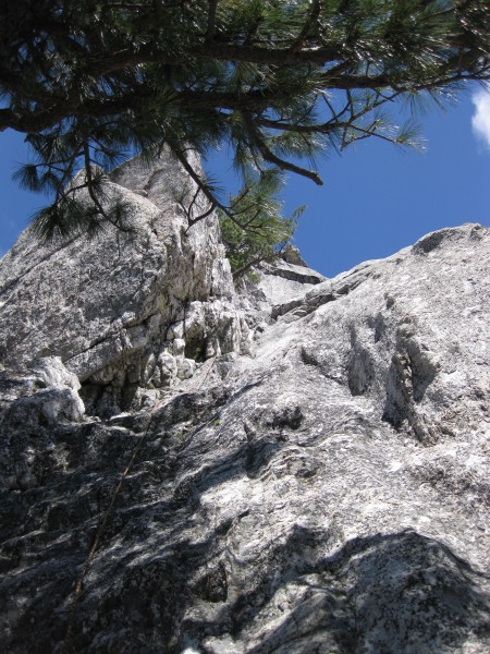 Cosmic Wall &#40;5.6R&#41; -- looking up first pitch