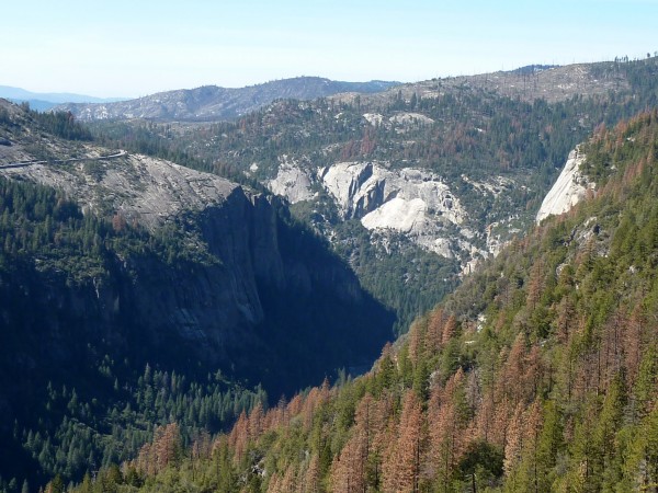 The view from the ledge.