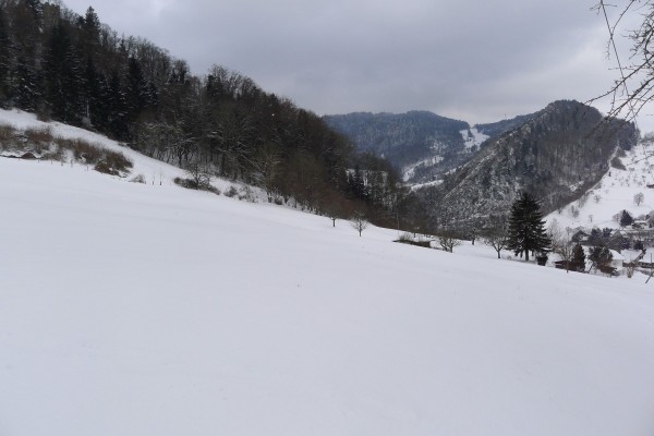 Peaceful winter landscape, adventure looms behind the trees