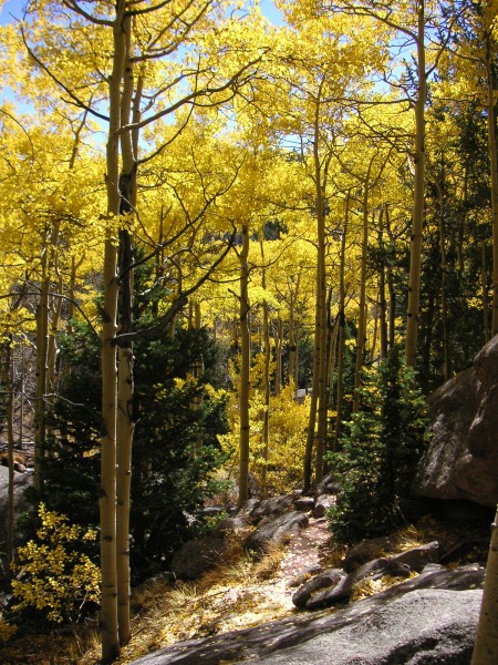 The fishermans trail near the midpoint of our Lost Creek traverse.