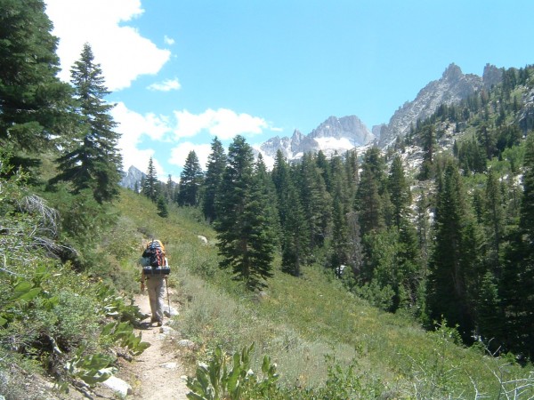 Up the Horse Creek trail