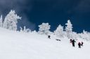 Some Tahoe Backcountry Skiing - Click for details