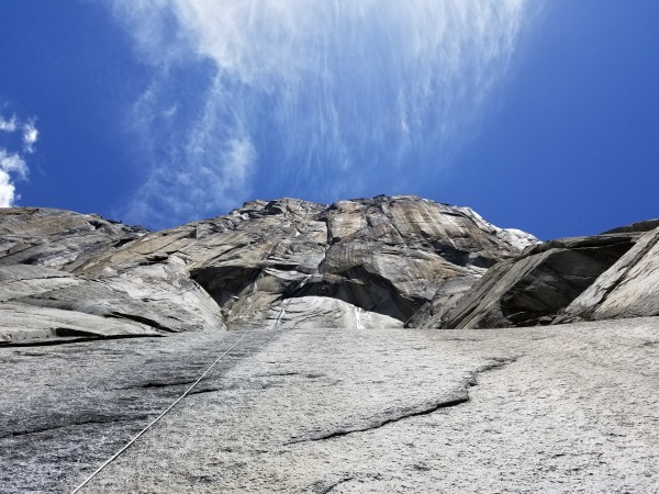 Looking up the Heart Lines