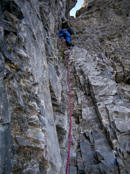 In the bottom part of the gully.