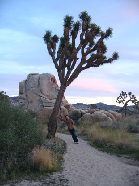 Noe holds the Joshua Tree up