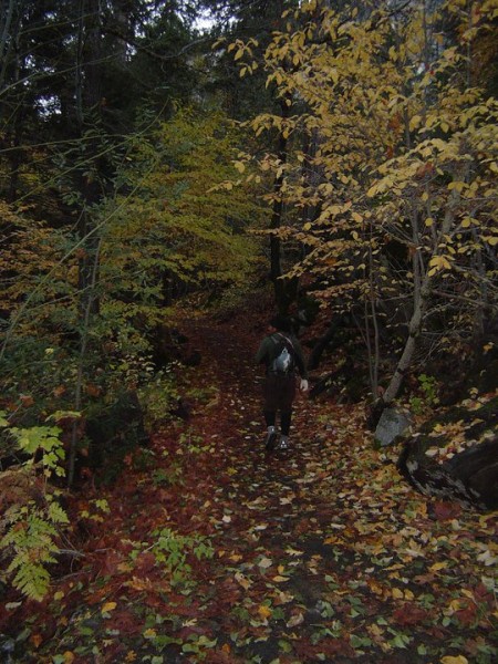 Mose heading up the Horse Trail.